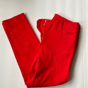Red dress pant